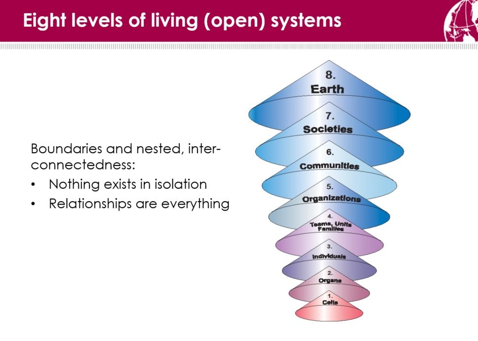 valerie-macleod-business-coach-systems-thinking-eight-levels-of